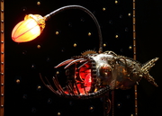 poisson lampe d'Arzée, dragon des abysses, sculpture metal, Tarek Jaffar, lanterne fish, objet d'art, France, givraines, création luminaire 